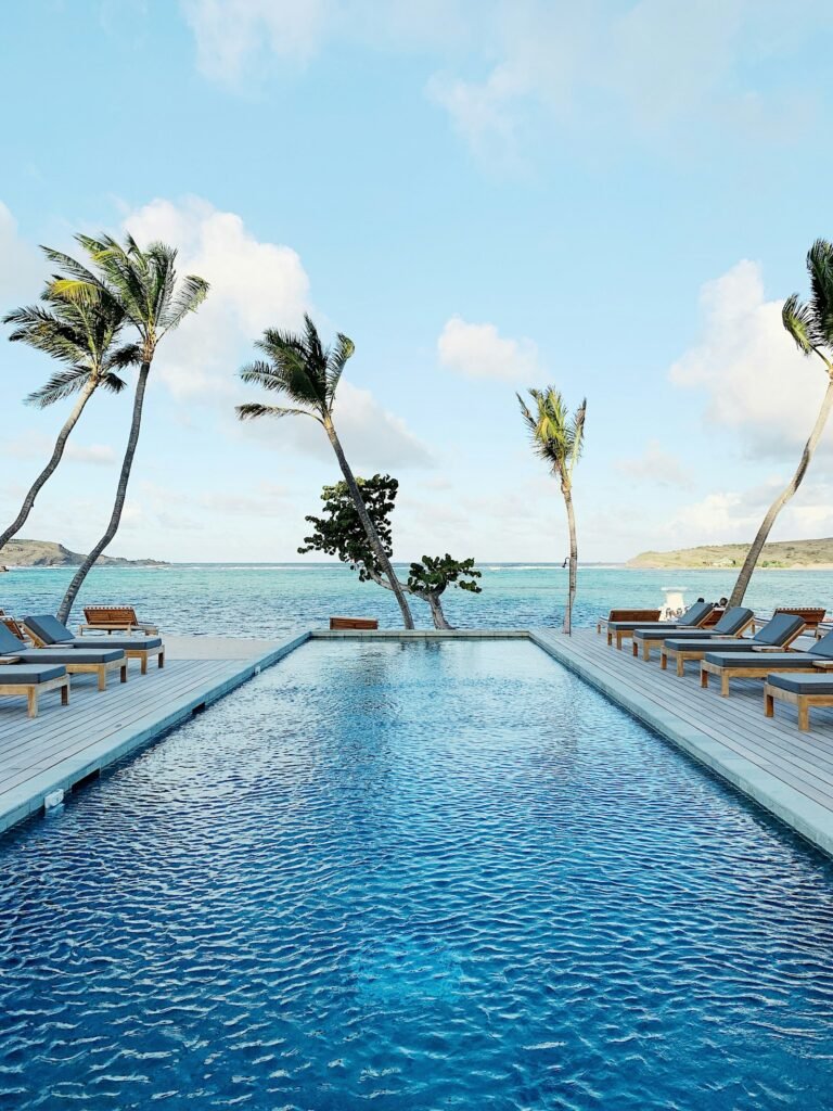 Luxury pool with palm trees and ocean view